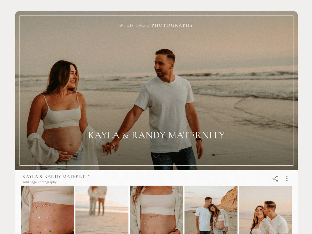 Dandylight delivered client gallery